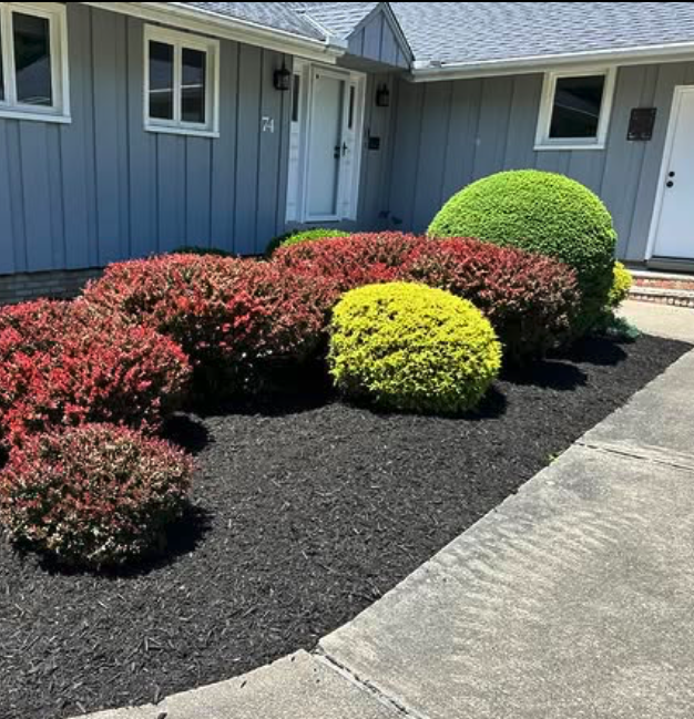 Manicured shrubs and clean bed lines