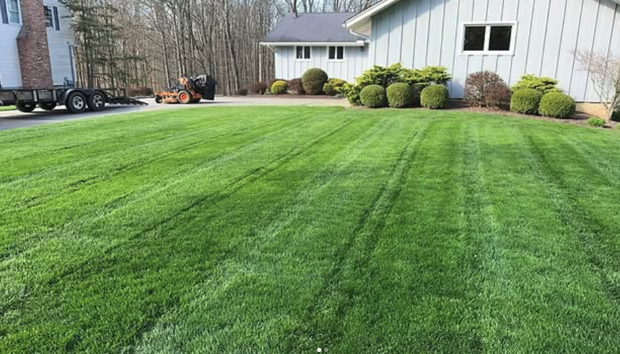 Striped lawn cut with mower and trailer on site