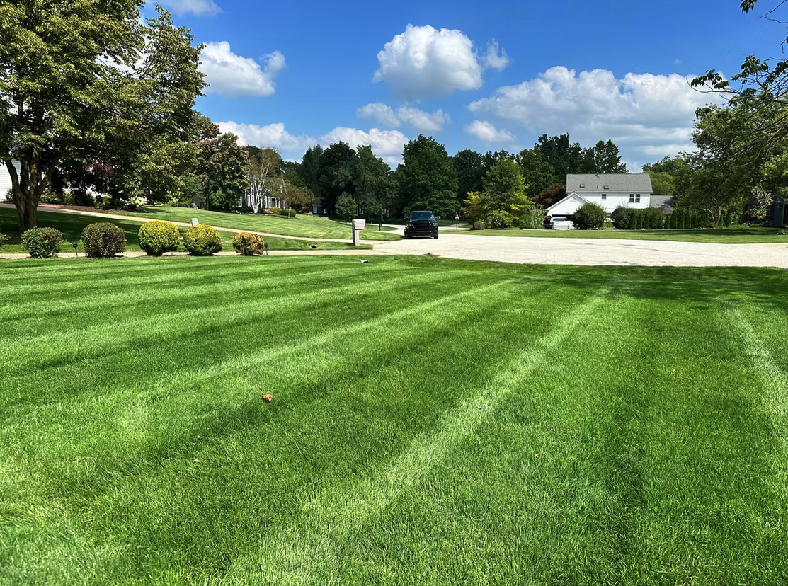 Residential lawn with sharp double-cut stripes
